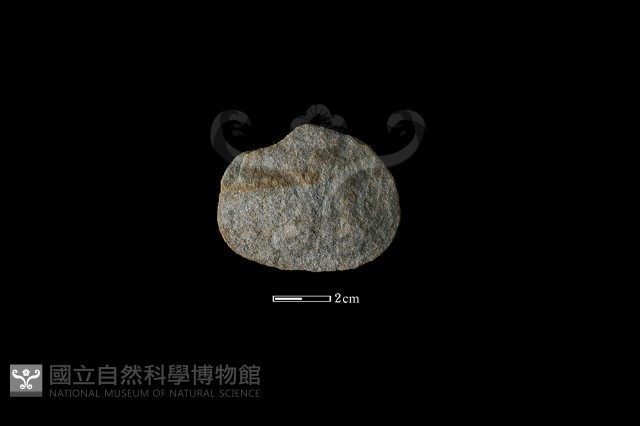石片器藏品圖，第1張