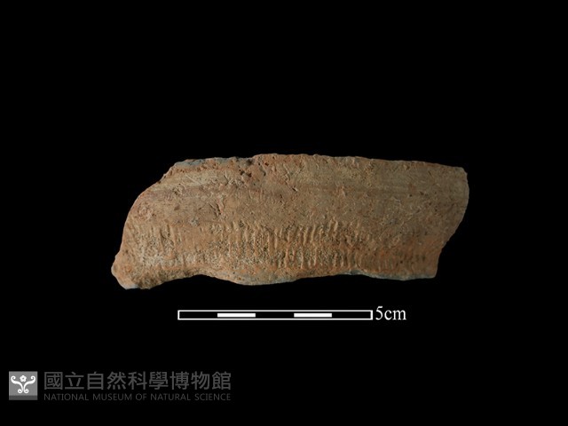 陶罐藏品圖，第1張