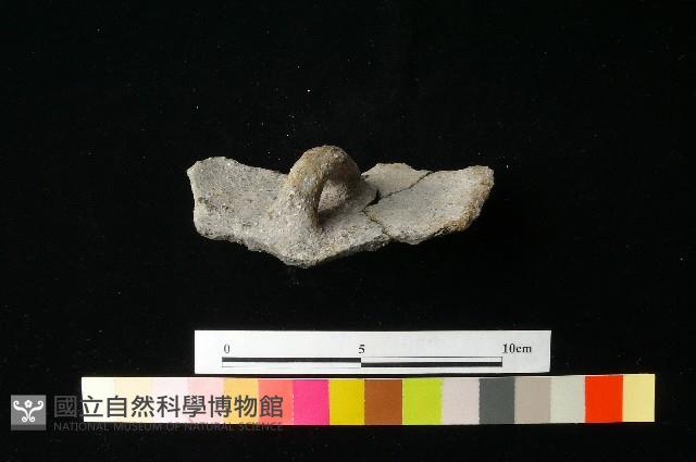 陶蓋藏品圖，第1張