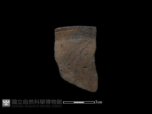 陶缽藏品圖，第1張