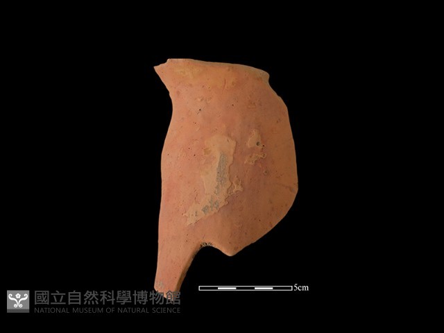 陶片藏品圖，第1張