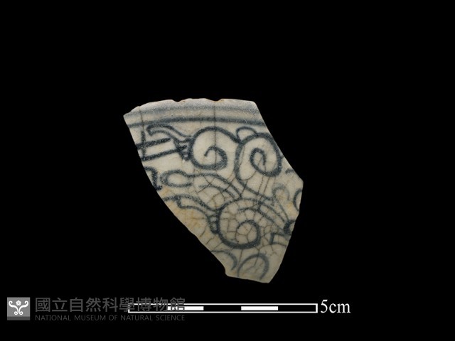 瓷片藏品圖，第1張