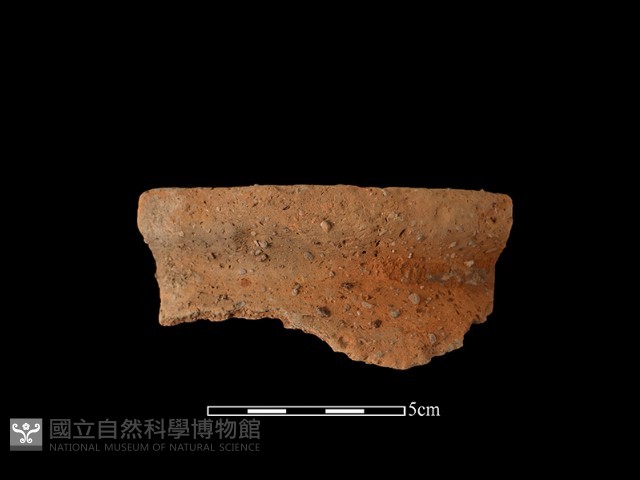 陶罐藏品圖，第2張