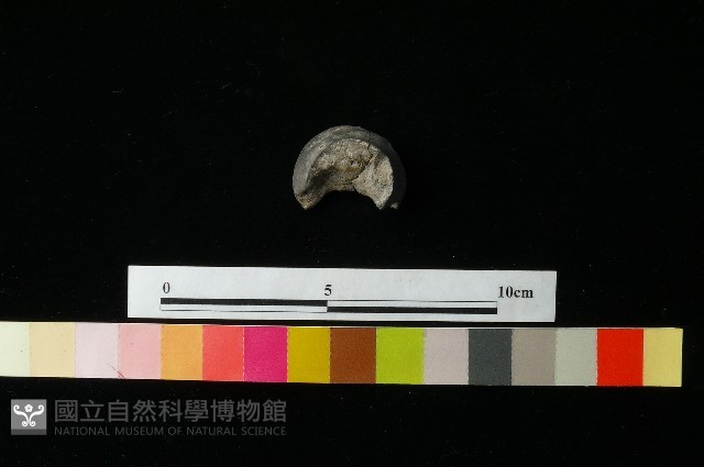 陶蓋藏品圖，第2張