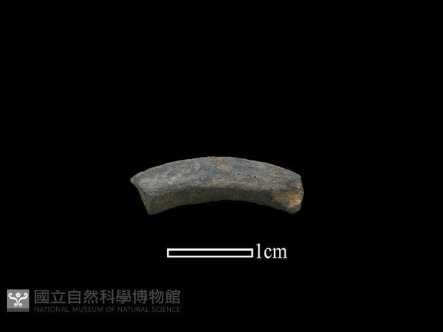 陶環藏品圖，第1張