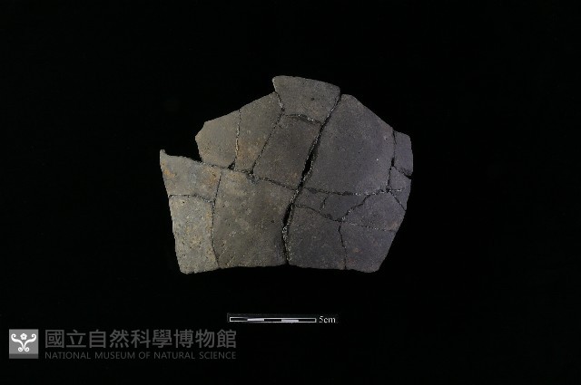 陶片藏品圖，第2張