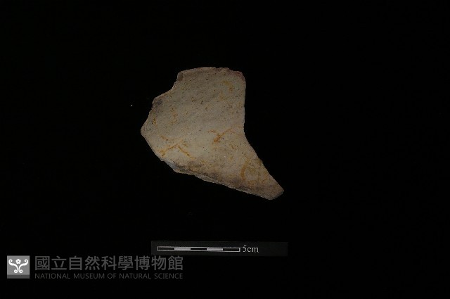 陶罐藏品圖，第1張