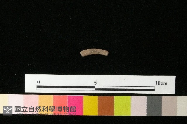 陶環藏品圖，第1張