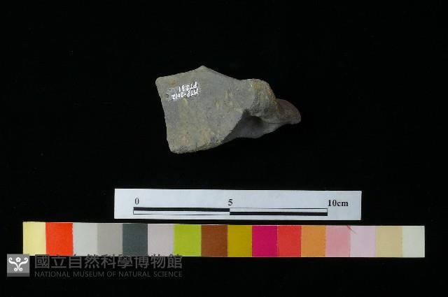 陶蓋藏品圖，第1張