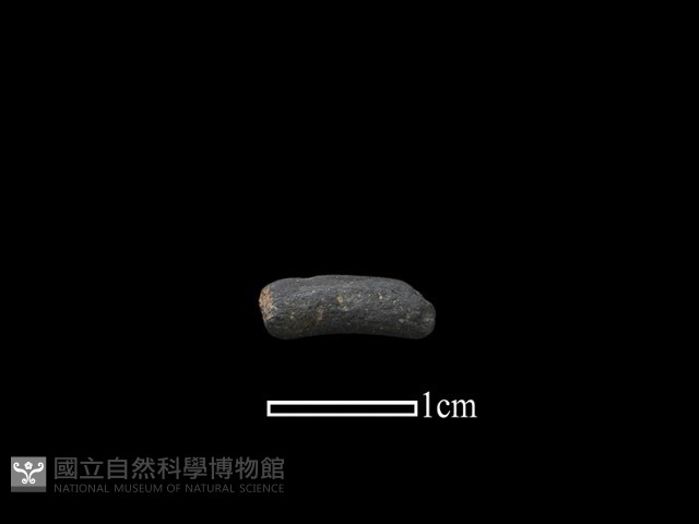 陶環藏品圖，第1張