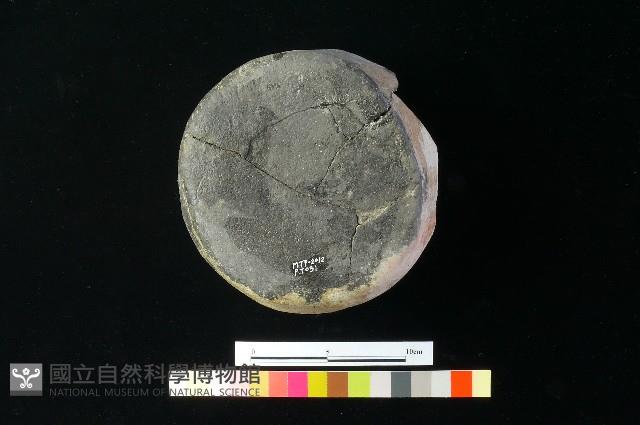 陶缽藏品圖，第2張