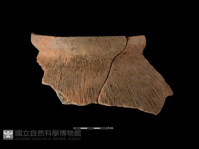 陶罐藏品圖，第2張