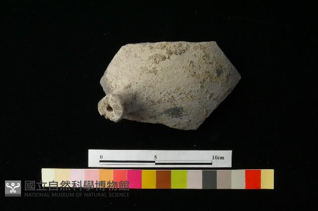 Accession Number:MTP-2012-PT131 Collection Image, Figure 1, Total 3 Figures