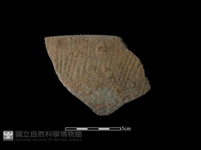 陶缽藏品圖，第1張