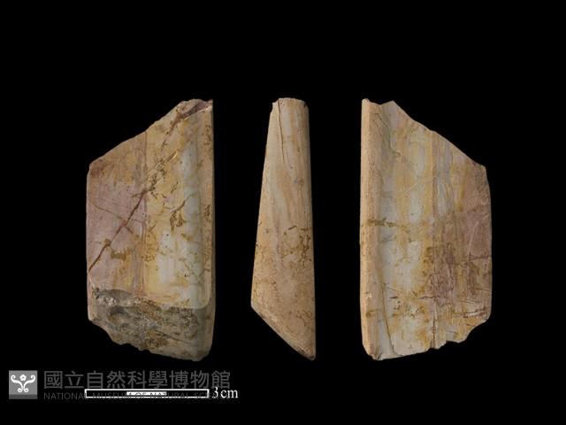 錛鑿形器藏品圖，第1張