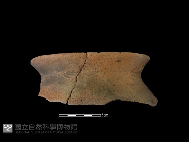 陶罐藏品圖，第2張