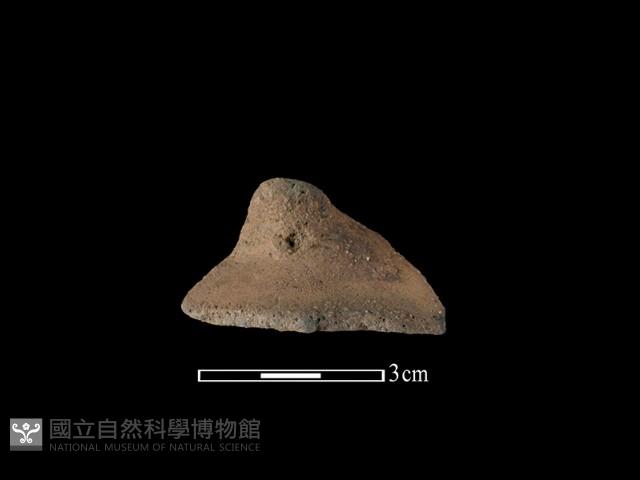 陶鈕藏品圖，第1張