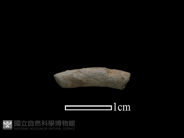 陶環藏品圖，第1張