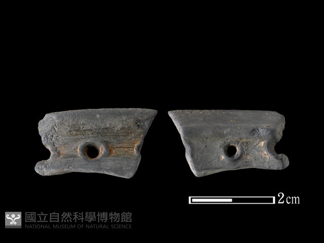 陶片藏品圖，第1張