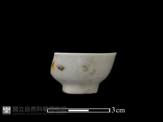 Accession Number:TCCC-2013-0367 Collection Image