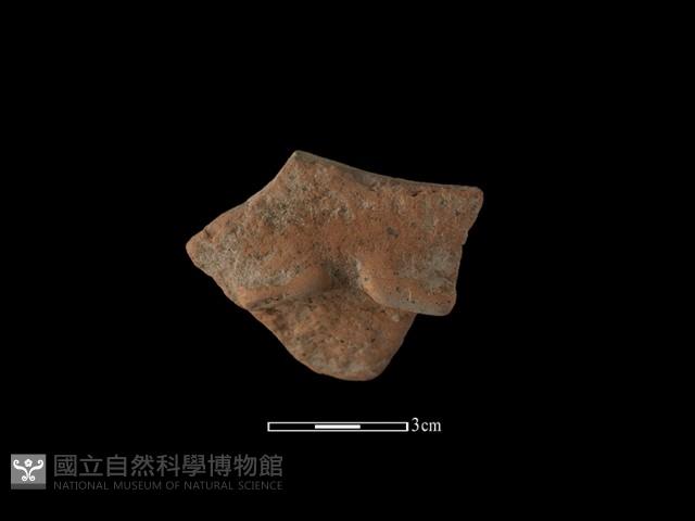 Accession Number:NSKII-2017-367 Collection Image, Figure 1, Total 2 Figures