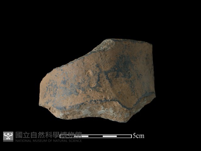 陶片藏品圖，第2張