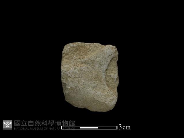 錛鑿形器藏品圖，第1張