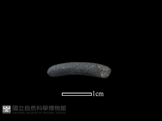 陶環藏品圖，第1張