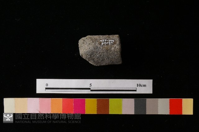 獸足藏品圖，第2張