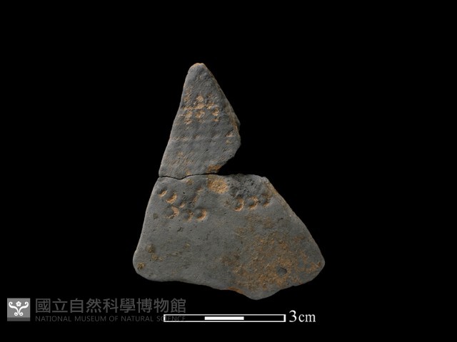 陶片藏品圖，第1張