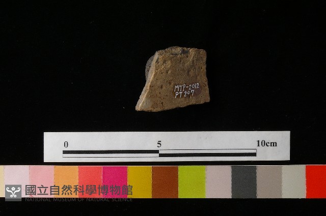 陶鈕藏品圖，第2張