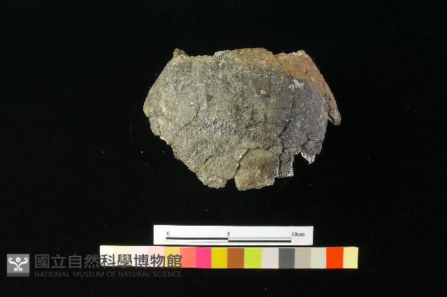 陶罐藏品圖，第1張