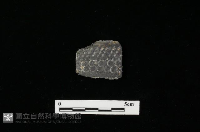 陶器藏品圖，第1張