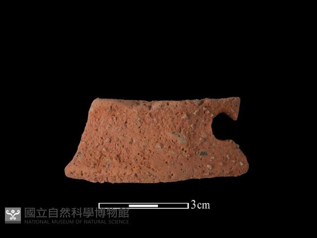 陶片藏品圖，第1張