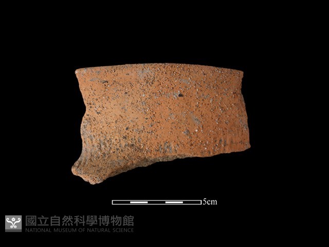 陶罐藏品圖，第1張