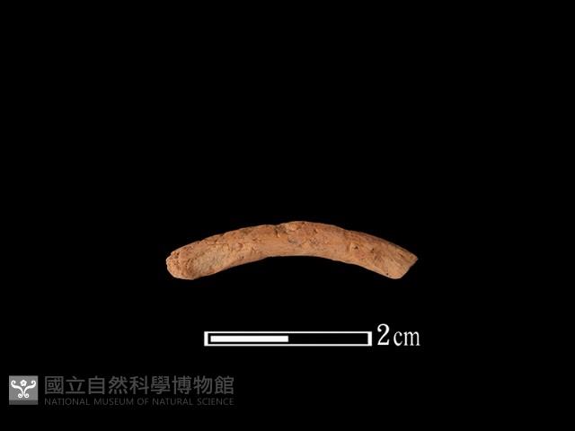 陶環藏品圖，第1張