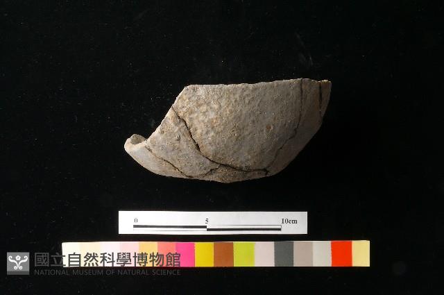 陶蓋藏品圖，第2張