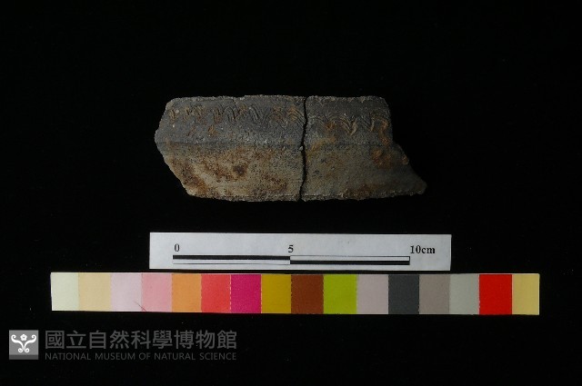 陶罐藏品圖，第1張