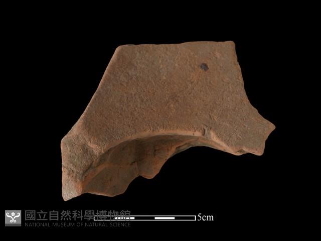 連杯形器藏品圖，第1張