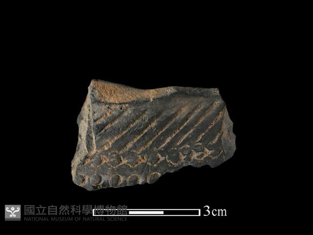 陶片藏品圖，第1張