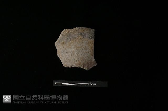 陶罐藏品圖，第2張