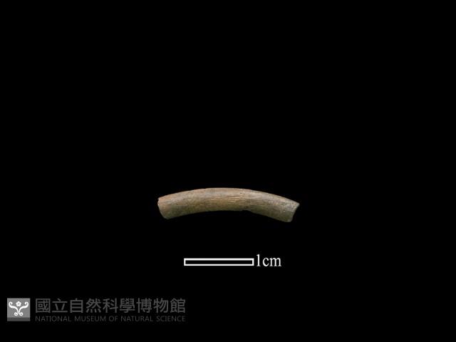 陶環藏品圖，第1張