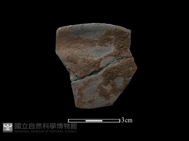 陶缽藏品圖，第2張