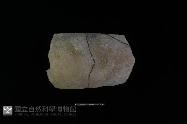 陶片藏品圖，第1張