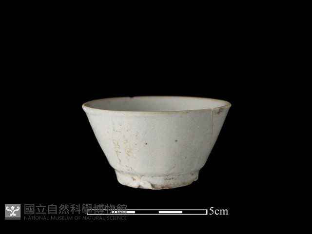 瓷杯藏品圖，第1張