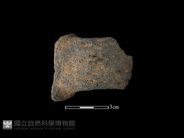 陶把藏品圖，第1張
