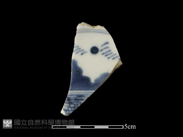 Accession Number:TCCC-2013-0247 Collection Image