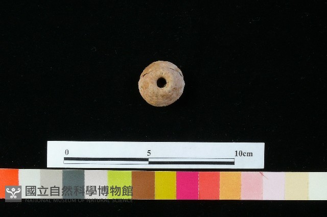 紡輪藏品圖，第2張
