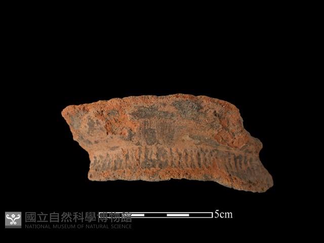 陶罐藏品圖，第2張