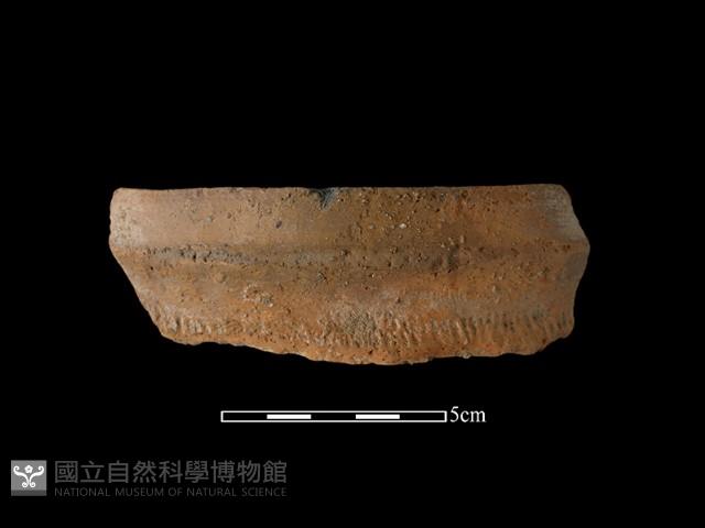 Accession Number:NSKII-2017-147 Collection Image, Figure 2, Total 2 Figures